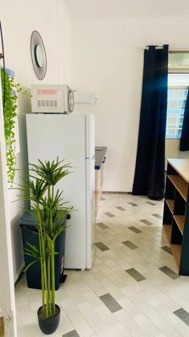 Urban Zen Appart Spacieux Studio Atypique Avec Bain A Remous Proche De Tout Pointe-a-Pitre  Ngoại thất bức ảnh
